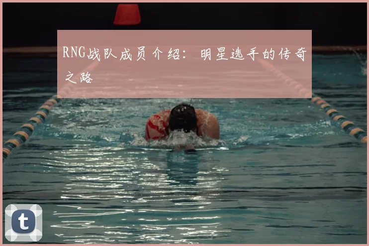 RNG战队成员介绍：明星选手的传奇之路