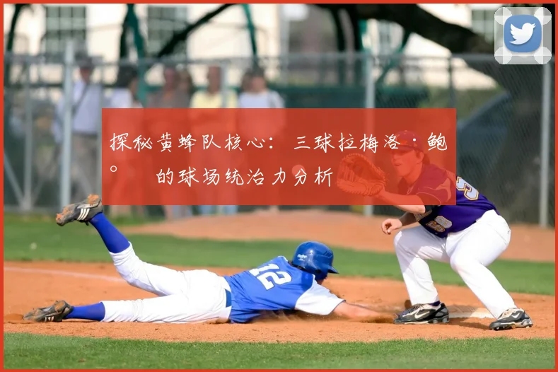 探秘黄蜂队核心：三球拉梅洛·鲍尔的球场统治力分析