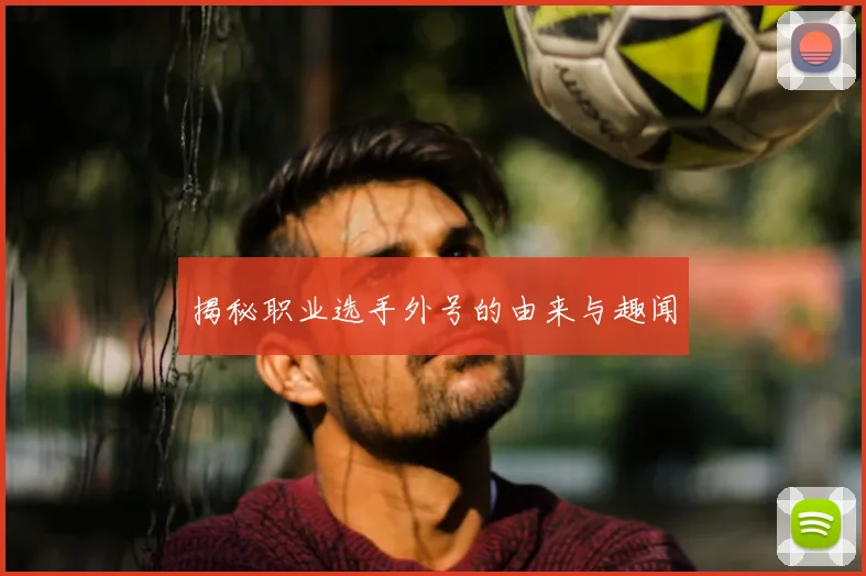 揭秘职业选手外号的由来与趣闻
