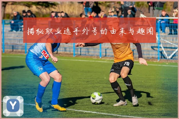 揭秘职业选手外号的由来与趣闻